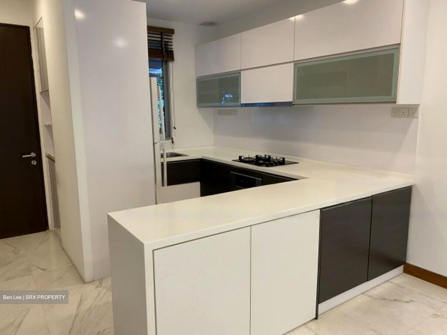 Radiance @ Bukit Timah (D21), Terrace #485923321